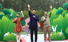 教母选秀视频完整版百度云资源最新,揭秘幕后故事，明星诞生背后的心酸历程