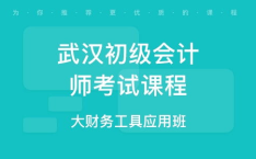 武汉会计网,专业会计资讯与服务的综合平台解析