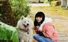 牵狗女孩想道歉,内心愧疚，勇敢面对道歉