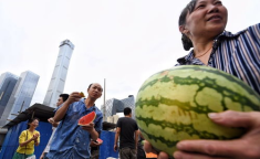 北京朝阳群众吃瓜网最新消息,最新吃瓜资讯，揭秘娱乐圈幕后风云