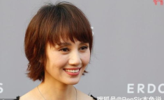 演员袁泉个人资料,光影交织下的优雅人生