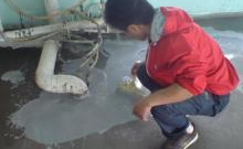 快速防水补漏,专业防水补漏服务保障”